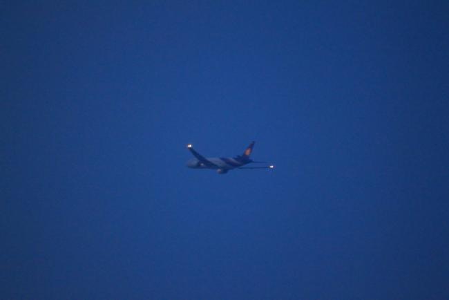 IMG_3208_resize.JPG